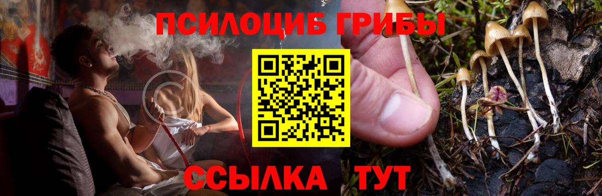Галлюциногенные грибы Cubensis  Вход с VPN  Светлоград 